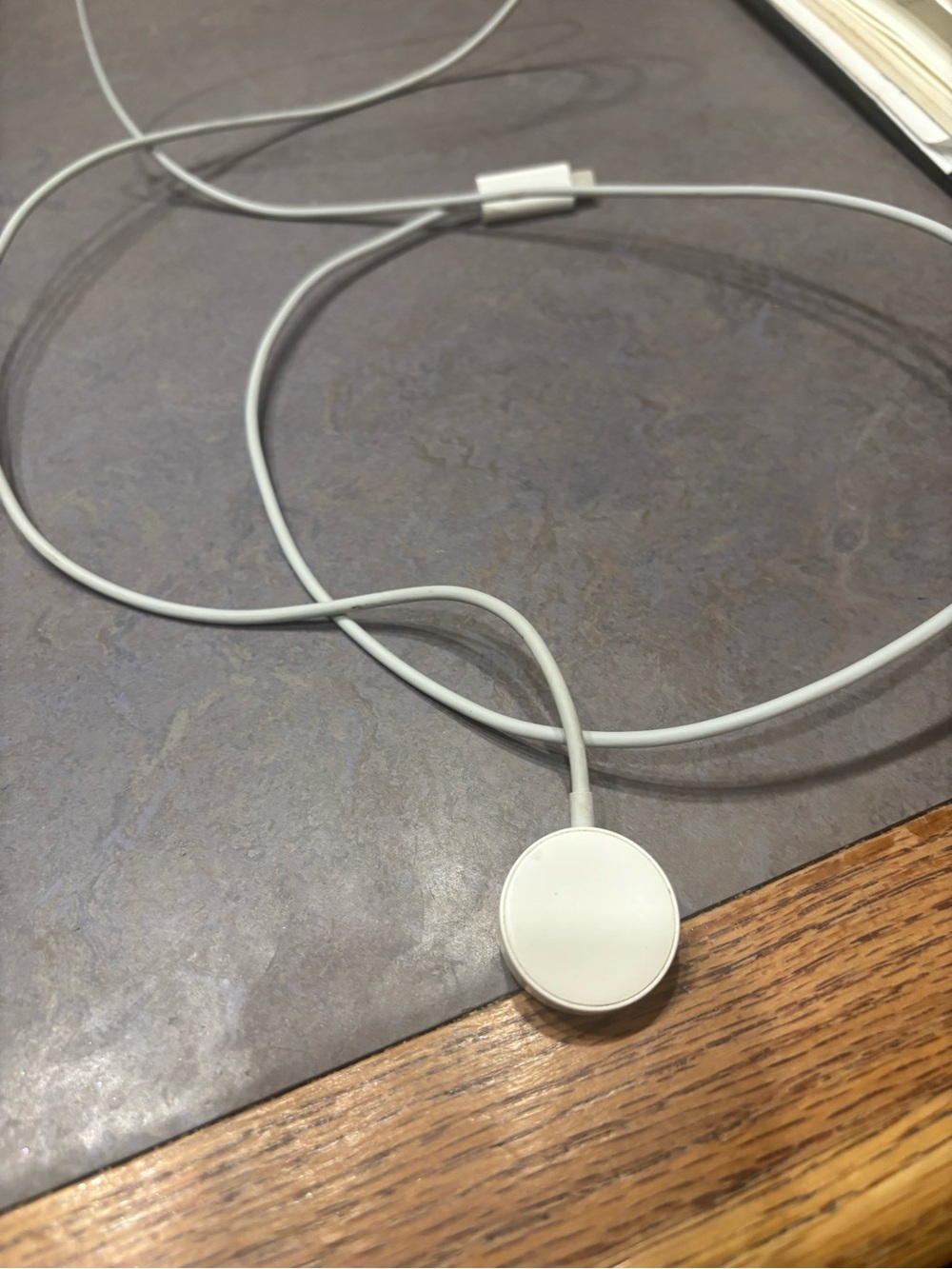 Apple White Magnetic Watch Charger Cable